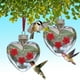 thumbnail image 1 of Comedero Colgante para Colibríes En Forma de Corazón con 3 Botellas de Flores | Dispensador de Agua y Semillas para Jardín Al Aire Libre (Paquete de 2) para Amantes de Las Aves, 1 of 6