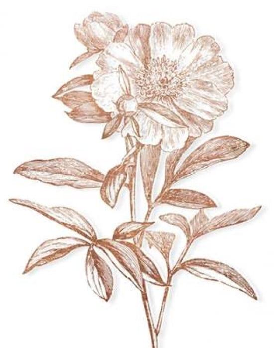 Etched Metallic Floral I Canvas Art - A Fresh Bunch(22X28)