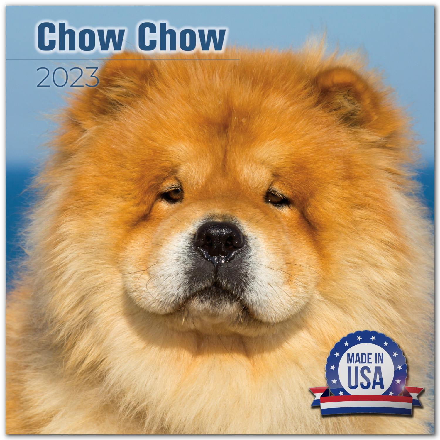 2022 2023 Chow Chow Calendar - Dog Breed Monthly Wall Calendar - 12 x 24 Open - Thick No-Bleed Paper - Giftable - Academic Teacher's Planner Calendar Organizing & Planning - Made in USA