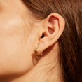 thumbnail image 3 of Valloey Rover 14K Gold Plated Cute Huggie Hoop Earrings for Women Jewelry Gift, 3 of 6