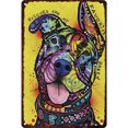 thumbnail image 1 of Hojalata Rectangular 20*30cm Serie Animal Perro Plano, 1 of 9