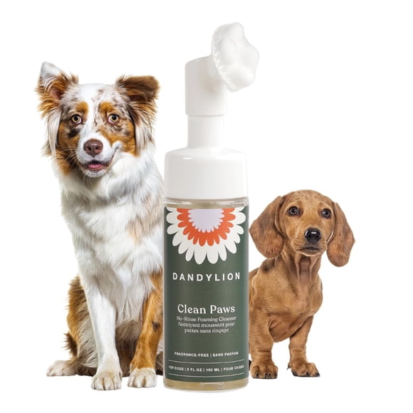 Limpiador de patas Dandylion Clean Paws No-Rinse para perros, 150 ml