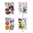 thumbnail image 3 of Flores secas naturales artesanías hechas a mano ramos en relieve flores prensadas Adorno hermoso presente para tarjetas de boda Vela de resina Tipo 4 Inevent HA010776-04, 3 of 7