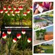 thumbnail image 4 of Likrtyny Luces Solares para Exteriores Tulipanes Impermeables Luces Solares para Jardín (1 Remolque 2 Rojos), 4 of 9