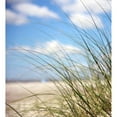 thumbnail image 3 of Colberg, Lisa 20x22 Black Modern Framed Museum Art Print Titled - Beautiful Day, 3 of 5