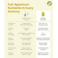 thumbnail image 4 of BariSlim Advanced Bariatric Multivitamin Gummies for Nutritional & Energy Support, Pineapple Flavour, 90 Count, 10.6 oz, Adult, 4 of 9