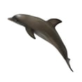 thumbnail image 4 of de ANIMALES RESLISTICOS - Incluyendo , Gran Tiburón , , Morsa, Tortuga , León Marino, - 8 CUTICAT Juguetes marinos de animales, 4 of 8
