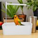 thumbnail image 4 of BESTYASH Automática Para De Pájaros Con Ducha Silenciosa Para Loros Y Periquitos En Casa, 4 of 8