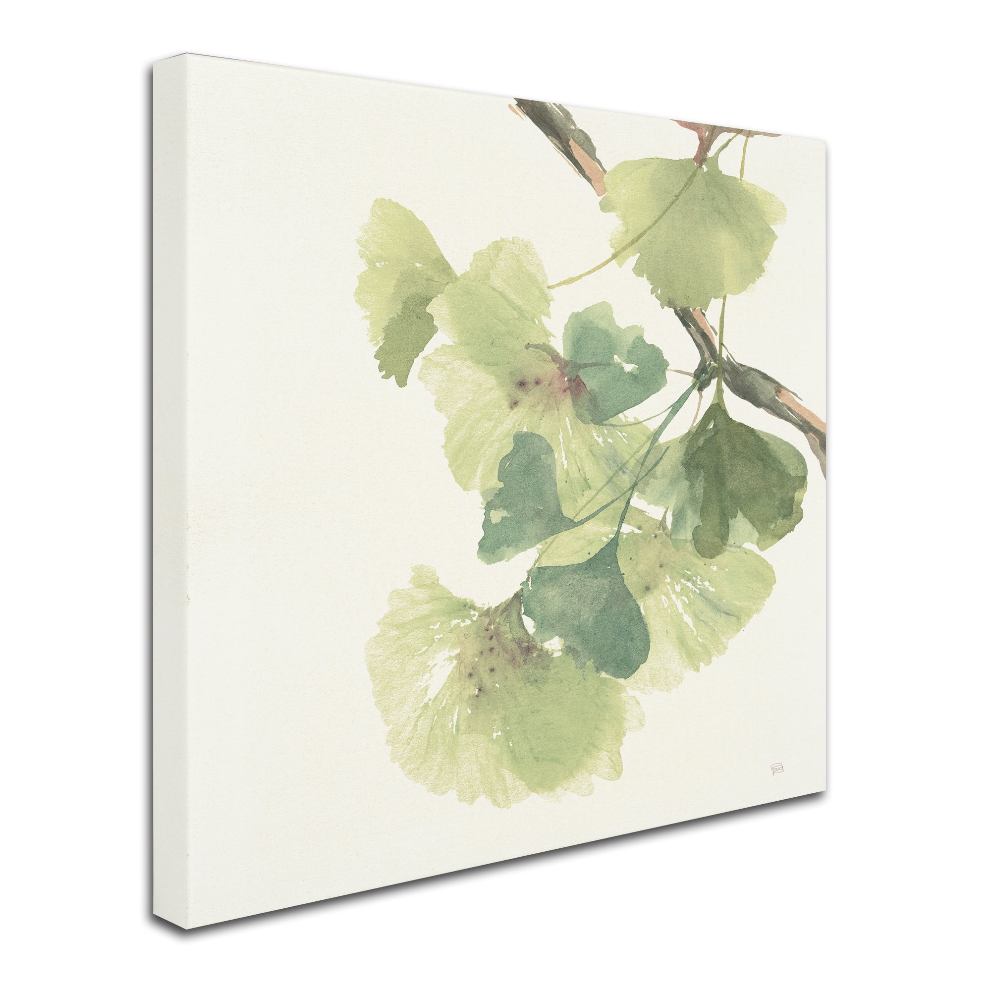 Trademark Fine Art "Gingko Leaves II Light" Canvas Art by Chris Paschke
