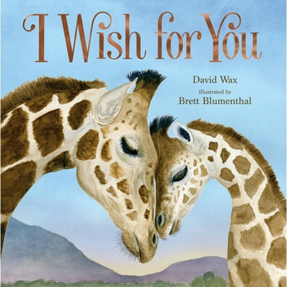 Pre-Owned I Wish for You (Hardcover) 1250822181 9781250822185