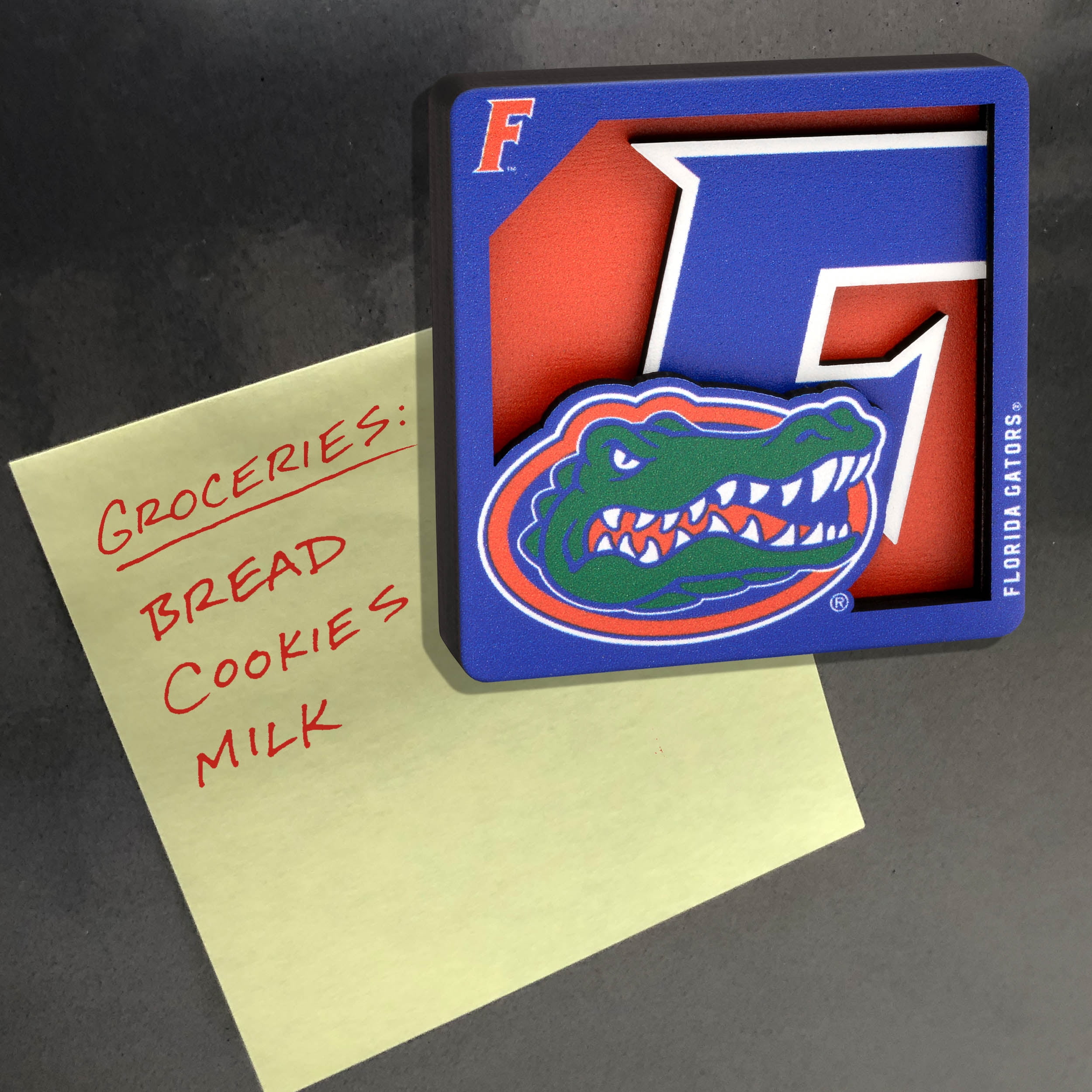 YouTheFan NCAA Florida Gators 3D Logo Series Magnet