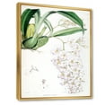 thumbnail image 3 of Designart 'Ancient White Orchid II' Traditional Framed Canvas Wall Art Print, 3 of 5