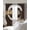Brown, variant on Japanese Style Blackout Curtains for Bedroom/Living Room, Thermal Insulated Kitchen Curtains, Grey Farmhouse Owl Birds Branches Grommet Darkening Window Treatment Drapes 42"x63"x2
