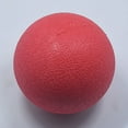 thumbnail image 4 of HEVIRGO Pet Dog Puppy TPR Bouncing Ball Bite Resistant Molar Training Chew Play Toy Red TPR, 4 of 8