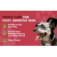 thumbnail image 3 of Liquid-Vet® Supplément de Bien-Être pour la Peau et le Pelage Canin pour Chiens, Saveur de Bacon, 16 fl oz, 3 of 8