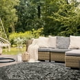 thumbnail image 3 of SAFAVIEH Beach House Kestrel Medallion Indoor/Outdoor Area Rug, Light Grey/Charcoal, 2'2" x 4', 3 of 7