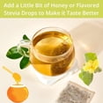 thumbnail image 4 of Tea VitalForest Mullein Leaf, 60 bolsas, limpiadores pulmonares para fumadores, 4 of 9