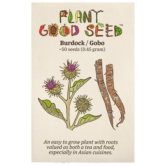 Plant Good Seed Company Burdock Root Seeds, Certified Organic Arctium Lappa Seeds, Non-GMO, 50 Seeds