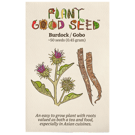 Plant Good Seed Company Burdock Root Seeds Certified Organic Arctium Lappa Seeds Non-GMO 50 Seeds Plant Good Seed Company Burdock Root Seeds Certified Organic Arctium Lappa Seeds Non-GMO 50 Seeds