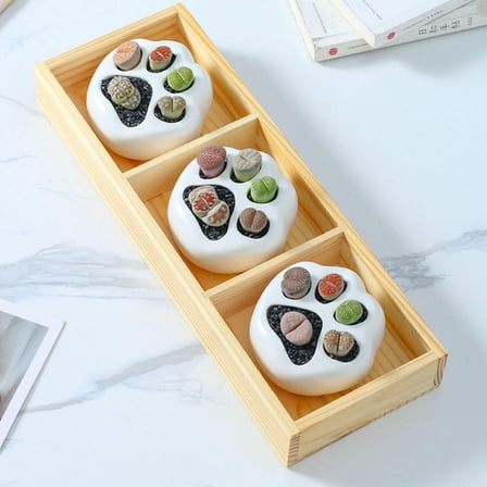 DRAFIDEEP Cute Ceramic Planter In Assorted Color For Home 1 Set