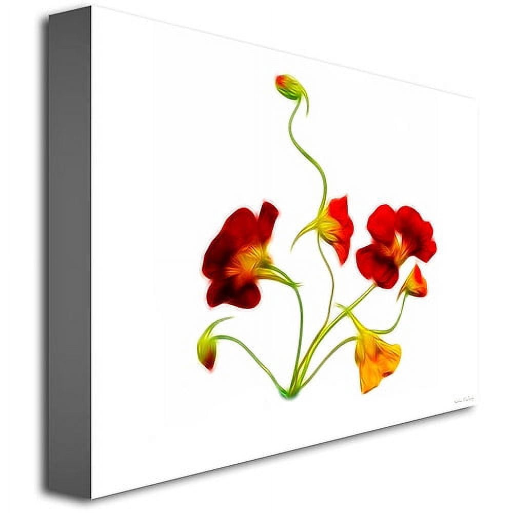 Trademark Art "Orange and Yellow Nasturtiums" Canvas Art by Kathie McCurdy