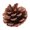 5-6cm, variant on Christmas Natural Pine Cone Ornament, Wooden Christmas Tree Hanging Decoration, Holiday Wreath Decor Cones for Festive Decor