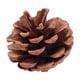 thumbnail image 2 of RKSTN christmas ornaments Christmas Natives Color Pines Cones Christmas Tree Hanging Holiday Decoration Christmas Hanging Shooting Props Wreath Decoration, 2 of 6