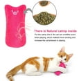 thumbnail image 3 of 5Pcs Cat Chew Toy Bite Resistant Catnip Toys for Cats,Catnip Filled Cartoon Mice Cat Teething Chew Toy, 3 of 9