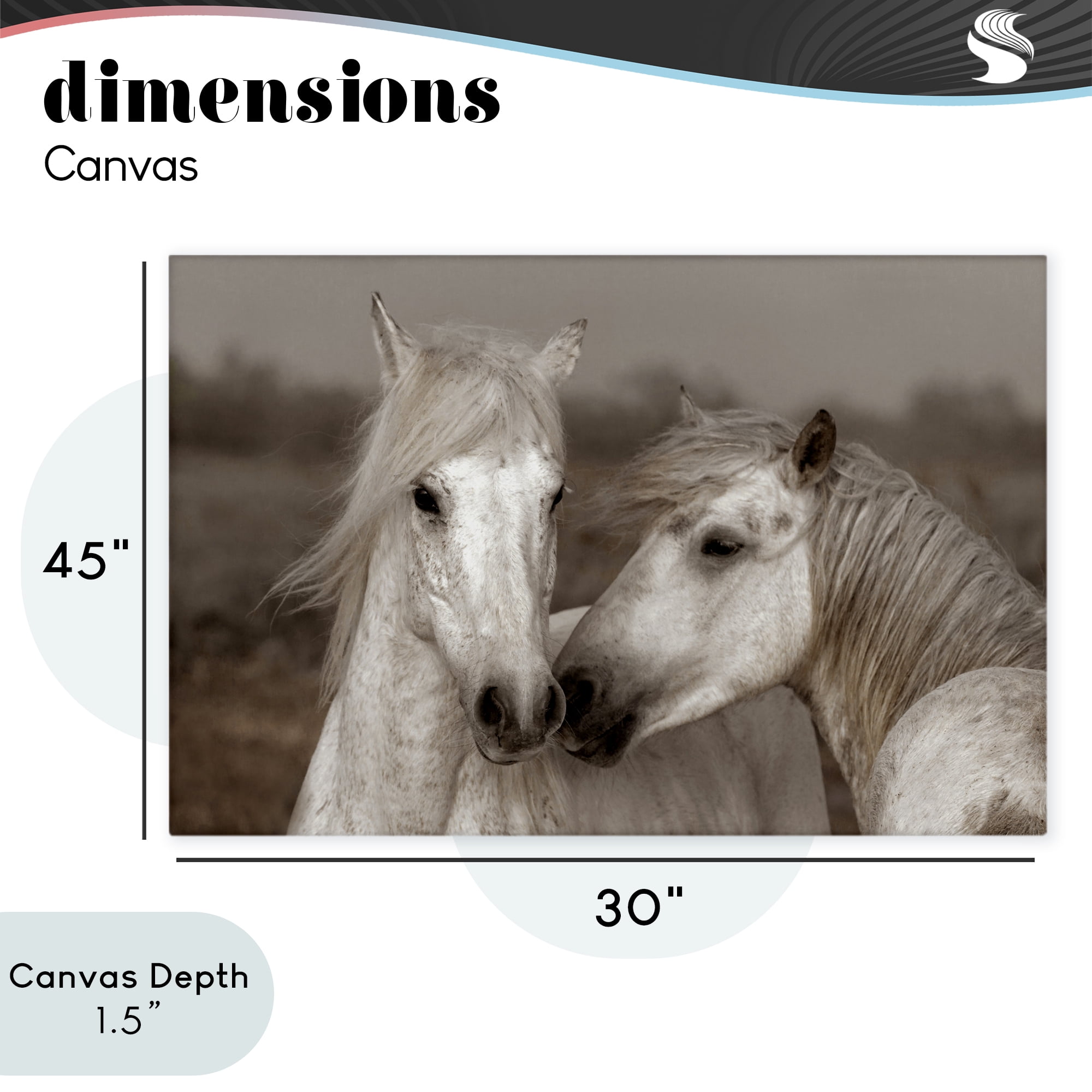 Stupell Industries Gentle Companionship Horses Canvas Wall Art, design by Danita Delimont