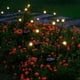 thumbnail image 2 of Lámpara de pie LED solar Firefly, lámpara de paisaje para jardín y patio exterior, lámpara de césped, lámpara de ambiente decorativo, 2 of 4