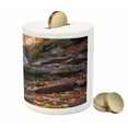 thumbnail image 3 of Outdoor Piggy Bank, Mountain Waterfall Autumnal Forest Fallen Leaves Moss Cascade Serene View, Ceramic Coin Bank Money Box for Cash Saving, 3.6" X 3.2", Orange Green Brown, by Ambesonne, 3 of 4