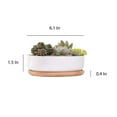 thumbnail image 4 of Succulent Planter - Round, 4 of 4