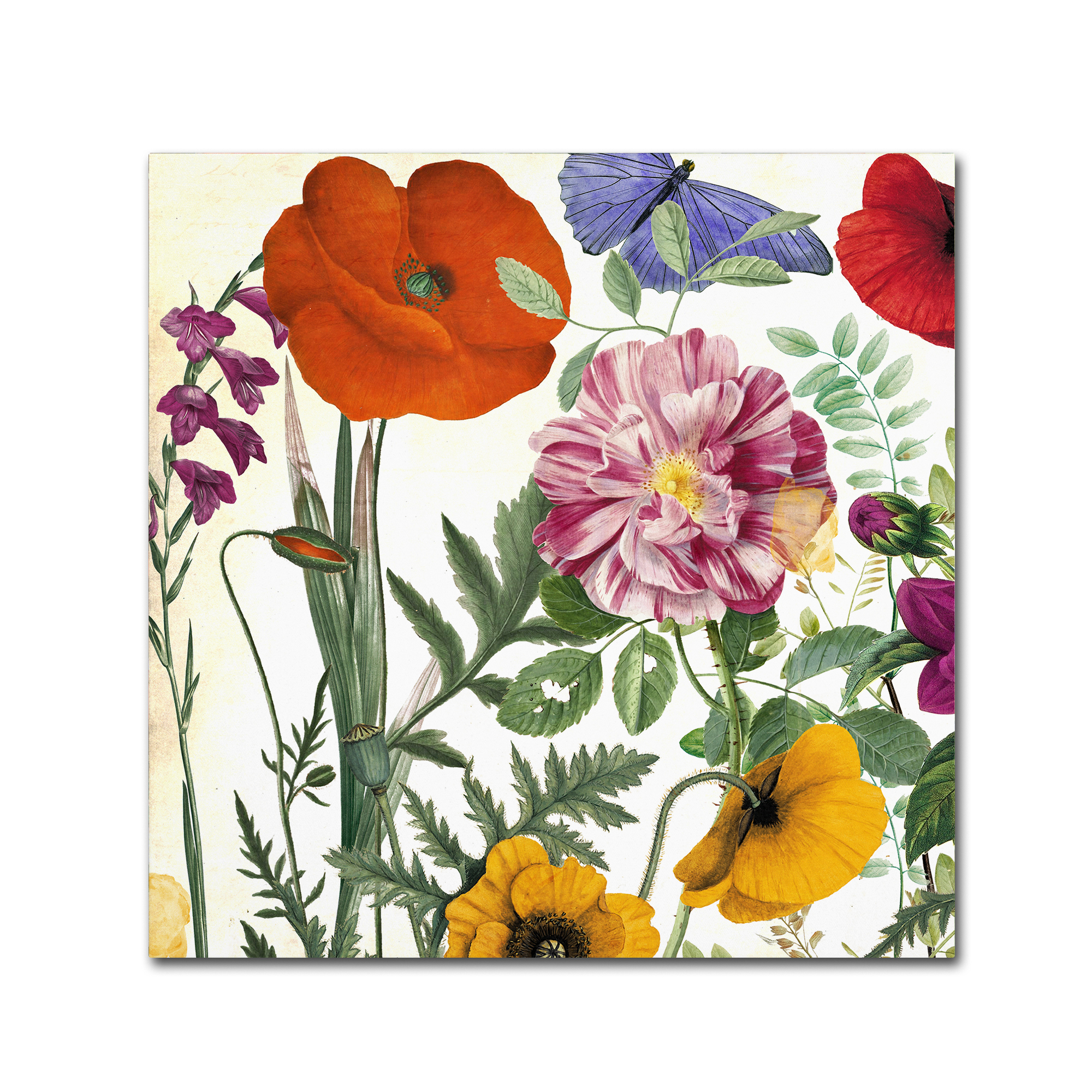 Trademark Fine Art "Printemps II" Canvas Art by Color Bakery