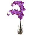 thumbnail image 1 of Phalaenopsis Orchid w/Vase Arrangement, 1 of 1