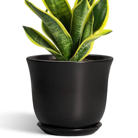 Ordivic 8 inch Matte Black Round Ceramic Plant Pot with Drainage Hole & Saucer, Modern Indoor Outdoor Decor Garden Planter for Herbs & Medium Houseplants, Plant Lover Gift