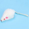 thumbnail image 4 of 12pcs Pet Cat Toy Small Plush Mouse Mini Funny Cat Toy Fake Mouse For Kitten Cat, 4 of 5
