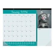 Rediform C194115 Pets Collection Monthly Desk Pad, Furry Kittens Photography, 22 X 17, White Sheets, Black Binding, 12-month (jan-dec): 2026