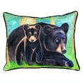 thumbnail image 3 of Betsy Drake ZP291 Parrot Head Throw Pillow- 22 x 22 in., 3 of 3