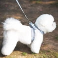thumbnail image 5 of Skksst Pet Dog Ajustable Chest Harness Breathable Mesh Vest With Leash, 5 of 5