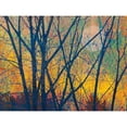 thumbnail image 3 of Vest, Chris 24x19 Black Modern Framed Museum Art Print Titled - Meadow Trees I, 3 of 5