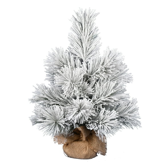 Vickerman 24" Frosted Beckett Pine Artificial Christmas Tree, Unlit