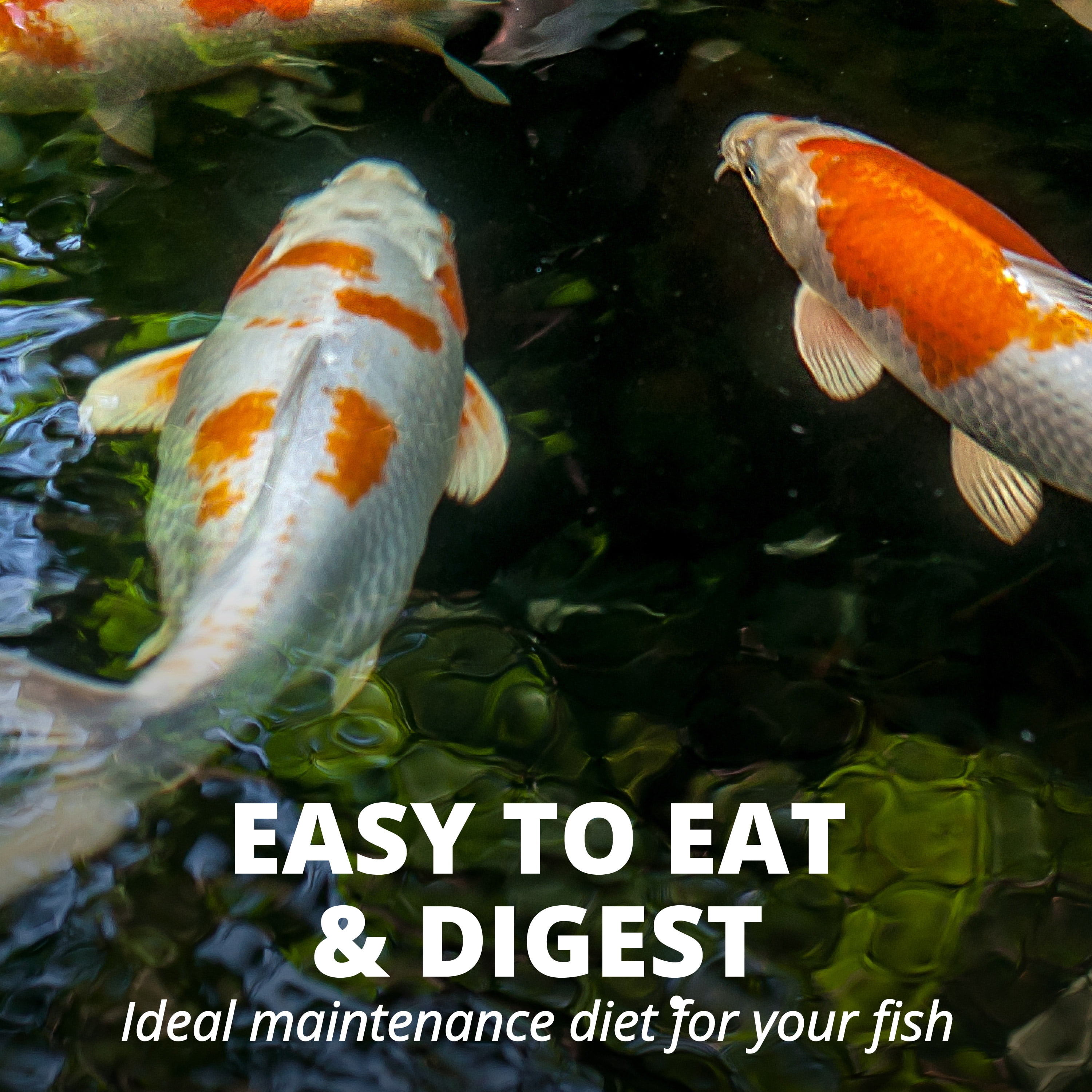 TetraPond Flakes Fish Food, Complete Nutrition for Smaller Pond Fish, 2.2 lb