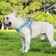 thumbnail image 3 of Zoowhale 2pcs Adjustable Pet Harness & Leash Set, Breathable Mesh Cat Harness with Leash, Pet Supplies for Outdoor Walking, Universal Harness, Safety Harness Straps (Pink, M), 3 of 5