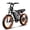 48V-16AH-Black, variant on Bluvall Electric Bike, Peak 1500W 35MPH 20" Fat Tire E-Mountain Bikes, 52V 20Ah Ebike for Adults, Full Suspension Hydraulic Brakes UL2849 - Orange