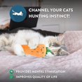 thumbnail image 4 of Juguete interactivo para gatos Sincero 2 uds con hierba gatera, 4 of 5