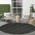 thumbnail image 4 of Nourison Easy Care Indoor/Outdoor Charcoal Black 8' x Round Area Rug (8 Round), 4 of 10