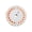 Orange, variant on High Floating Fly Fishing Line with Tapered Leader Forward Fly Line for Precise Casting In Streams and Lake