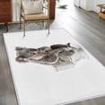 thumbnail image 3 of Funny Koala Area Rugs Collection 4'x6', Cute Art Fun Lovely Animals on Toilets Non Slip Indoor Rectangle Throw Runner Rug Floor Mat Carpet for Living Room Dining Table Bedroom Nursery, 3 of 9