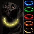 thumbnail image 1 of Collar de perro intermitente con luz recargable por USB, longitud ajustable, collar intermitente impermeable cortable para perros, 3 modos, para perros pequeños, medianos y grandes (, 1 of 5