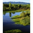 thumbnail image 2 of Talbot Frank, Christopher 26x30 Black Ornate Wood Framed with Double Matting Museum Art Print Titled - WY, Grand Tetons A Meadow in the Grand Tetons, 2 of 4